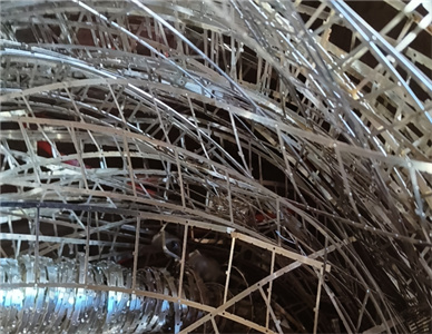 QQ20241116-170824.jpg