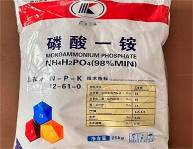 微信截图_20241212203816.jpg