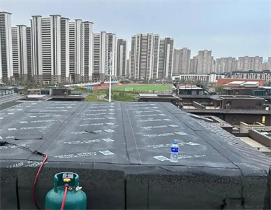 案例 (5).jpg