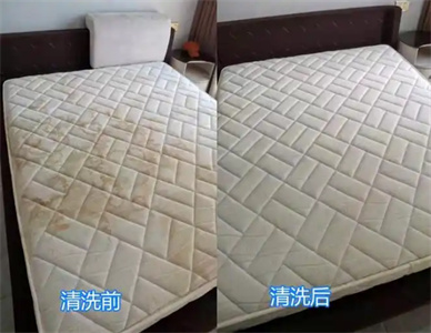 1734058570831585.jpg QQ截图20241212203120.jpg