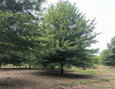 b978de03e20cbcbf348511188789f16.jpg