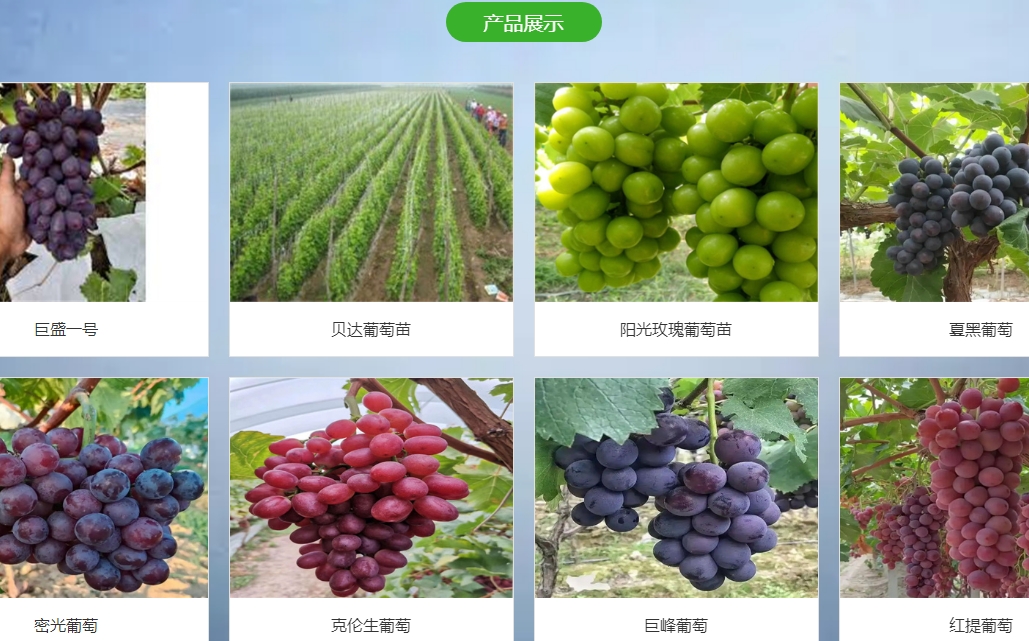 微信截图_20241213215823.png
