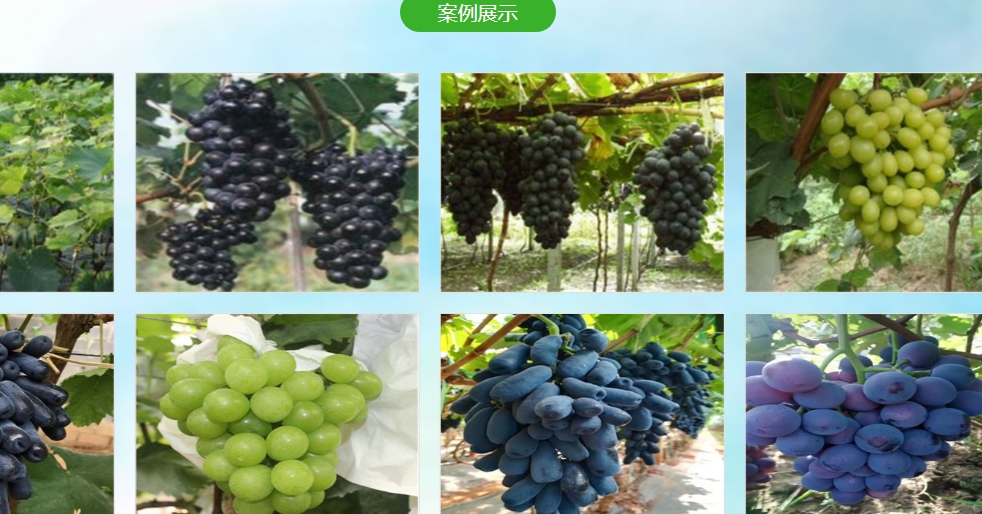 微信截图_20241213215843.png